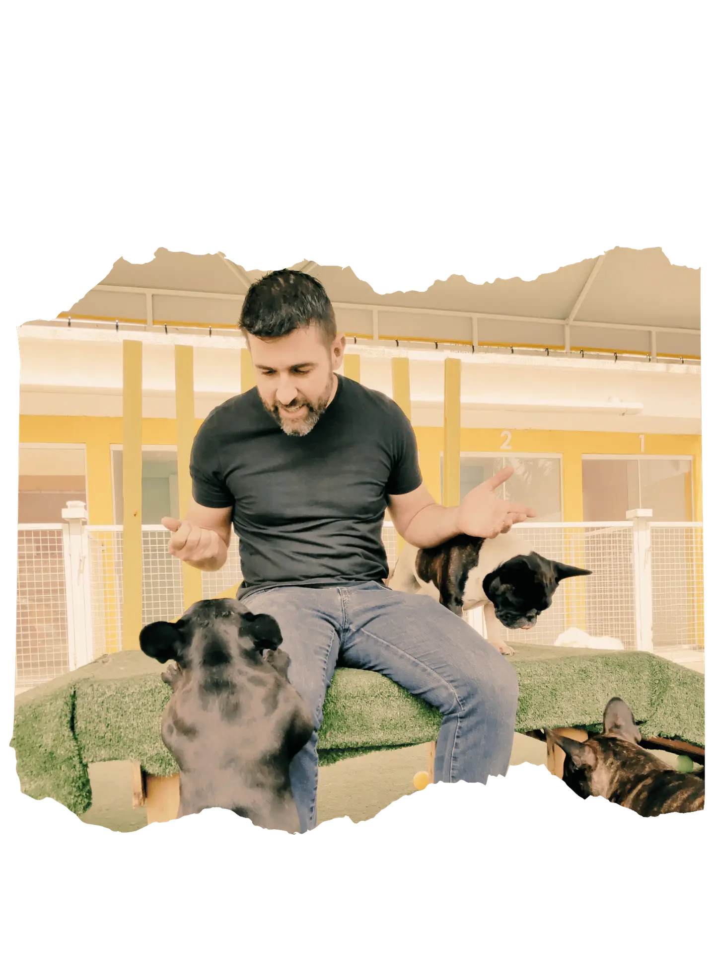Marcelo MestreDog em um momento de trabalho com cães