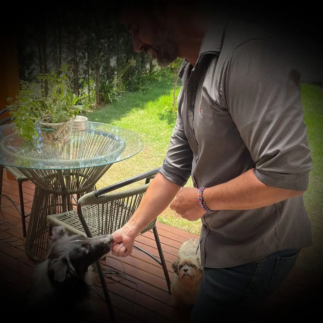 Cão em atendimento de adestramento com Marcelo