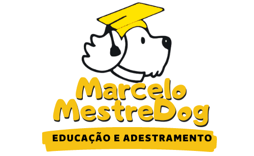 mestredog adestramento