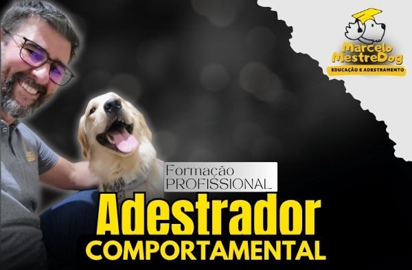 adestrador comportamental marcelo mestredog